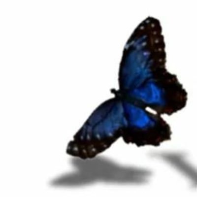 Libertystaffs14's profile picture. Liberty Staffordshire provide new and exciting opportunities for young people and adults living with physical and learning barriers, and/or mental ill health.