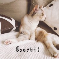 いくのしん (@xeybtj) 's Twitter Profile Photo いくのしん (@xeybtj) 's Twitter Profile Photo