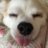 風太のアイコン