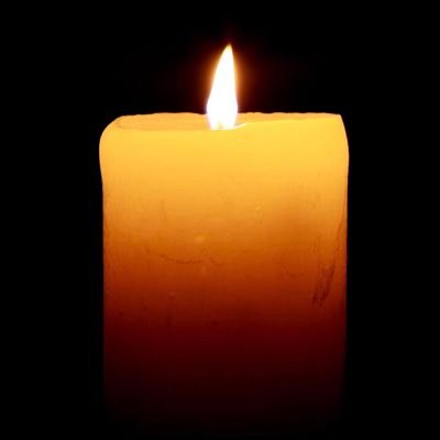 candleofpeace@threads.net candleofpeace on Tribel  #TrumpIsAPsychopath #IndictTrump #IndictGOPsForAidingAbetting #VoteBlueToSaveAmerica NO DMs!