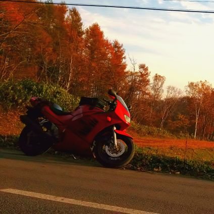 北海道住のライダー。船で働いてます。
バイクはXELVIS→RF400R→ GSF1200
温泉巡りとキャンプはそこそこ好き