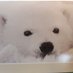 脂肪肝战士 (@alpacos23) Twitter profile photo 脂肪肝战士 (@alpacos23) Twitter profile photo