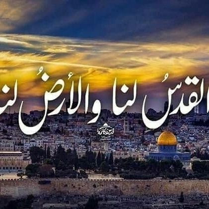 ajamous61's profile picture. نصيحة : علي اليهود ان يرحلوا قبل ان يقتلوا