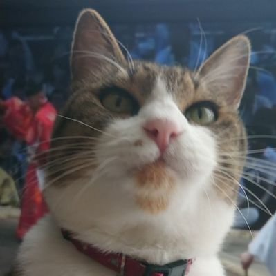 タゴサクさんのプロフィール画像
