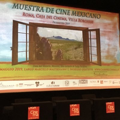 Ideatrice e Direttrice della Muestra de Cine Mexicano (@muestradecinemx) a Roma (@Roma) attualmente l’unico spazio in Italia 🇮🇹 dedicato al cinema messicano.