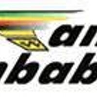 Air Zimbabwe (@airzimbabweum) 's Twitter Profile