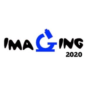 Imaging the Immune System 2020