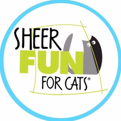 sheer fun for cats