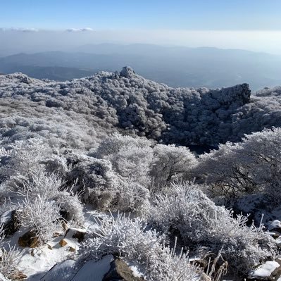 iAxEIiTc1WowLFG's profile picture. 参政党推しのおじさんです！一般党員やってます！