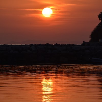 akimaruyama1's profile picture. ３児の母‼️Mrs GREEN APPLEとピックルボールにどハマりな40代‼️仲良くしてください🙌🙌