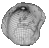 itu_geomatik's profile image