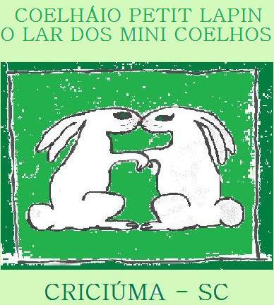 LarDoMiniCoelho's profile picture. Somos criadores de mini coelhos e outros mini pets.