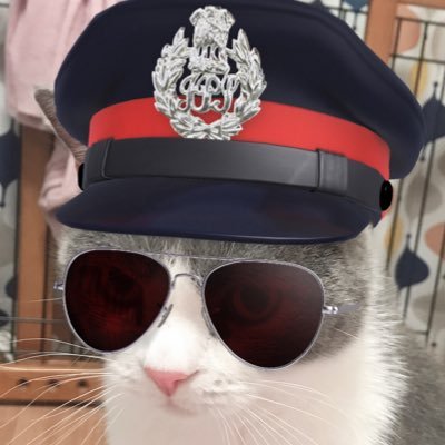 asagkr's profile picture. 2025.8末からVRchat始めました。 アバター：しらつめ・柚希・もち吉 /35P 旅人 社会人 猫飼い/趣味:お絵描き