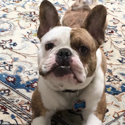 TheVolumeMan's profile picture. Newsletter writer/publisher for over 44 years. Top 'Timer Digest' ranked 'Market Timer' and a PBS Wall Street Week 'Elf' with Louis Rukeyser ' until 1996.