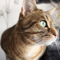 WitPxl (@witpxl) 's Twitter Profile Photo