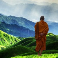 Spiritual Enlightenment (@spirit_enlight) 's Twitter Profile