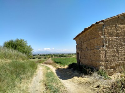de_galofre's profile picture. Eppur si muove (1633), e si sta ancora muovendo (2025).
Agricultural Engineer.
Retweet is not endorsement.