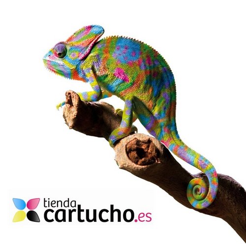 Somos una empresa especializada en la venta de cartuchos de tinta y toner. Entra en nuestra web y aprovéchate de nuestras ofertas para todo tipo de impresoras.