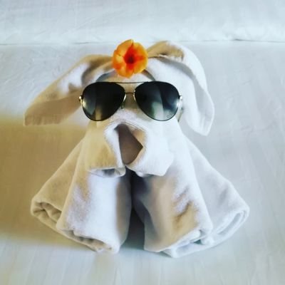 rcatterson's profile picture. Views my own