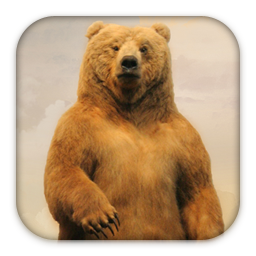 Sou um urso legal.