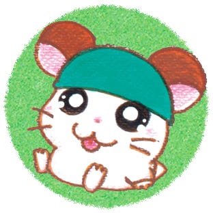 torityan_yuzupi's profile picture. 岐阜