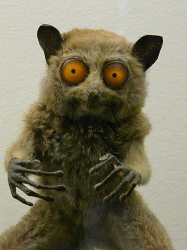 kingludvig's profile picture. Sinclair Spectrum Master