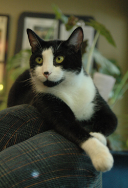 BodyTribeGym's profile picture. Physical Sub Culture gym in Sacramento, CA.