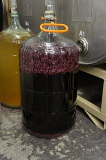 TomTheDrinker's profile picture. 