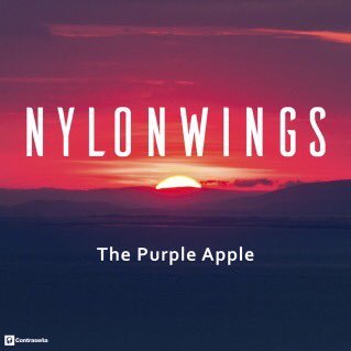 Nylonwings