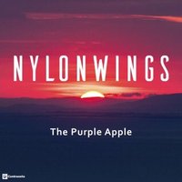 Nylonwings (@nylonwings1) 's Twitter Profile