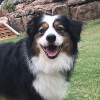 Jay (@doylejay) 's Twitter Profile