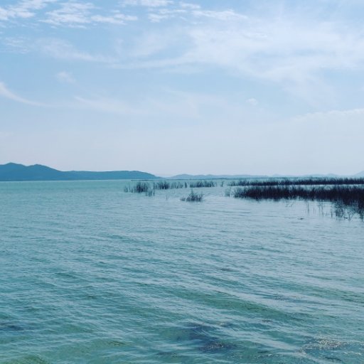 Summer_Code's profile picture. 