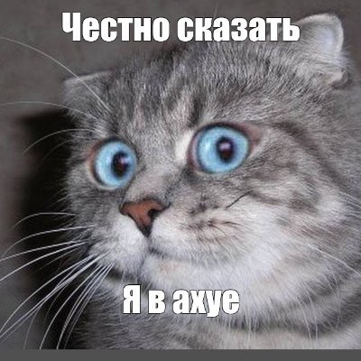 NegetnK's profile picture. Хочешь покращити країну? Запитай мене як