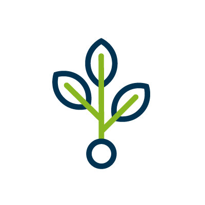 DEBUTANT-E ACCEPTE-E