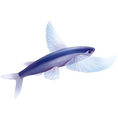 beyondhjjyt's profile picture. to play