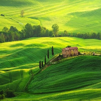 Cryptowalker247's profile picture. Walking through the crypto Bull and Bear movement.