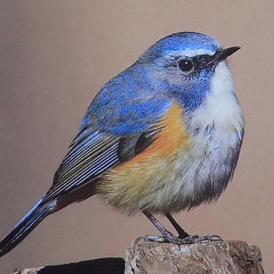 haruuuuuuuu27's profile picture. 