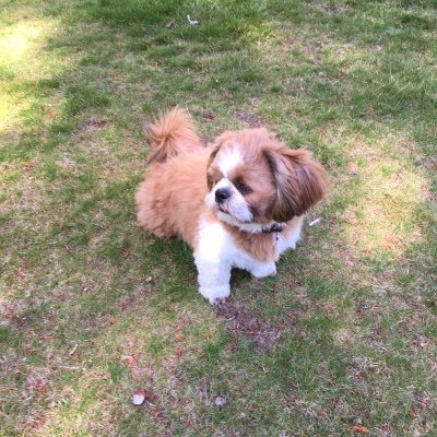 Tali97953706's profile picture. 