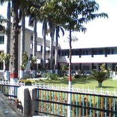 davcollege1's profile picture. 