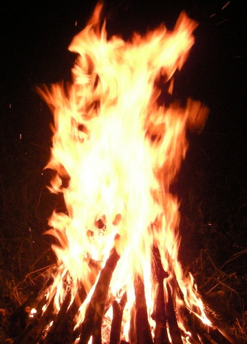 AnatoliyMihov's profile picture. Online business