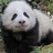kyunachan's profile image