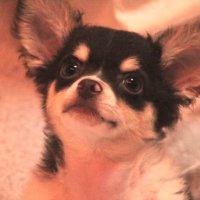 まー (@masakimasamimiy) Twitter profile photo