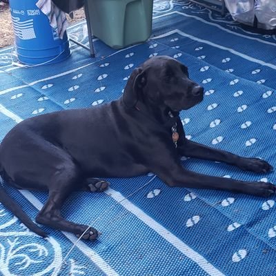 chrisnad67's profile picture. love like you never loved before, live like it's your last day. forgive freely.