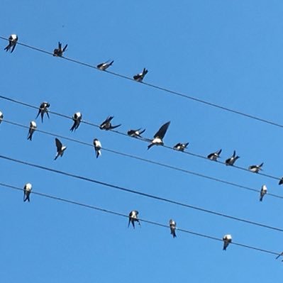 burcinsargin's profile picture. 