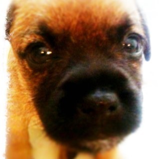 midaskev's profile picture. 