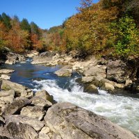 RockcastleConservation (@rockcastleriver) 's Twitter Profile