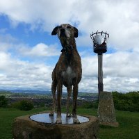 Andy Rodgers (@porridge048) 's Twitter Profile