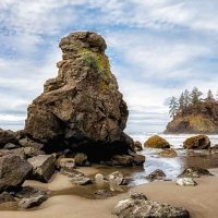 RedwoodCoastParks(@redwoodparks) 's Twitter Profile Photo