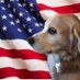 Lady_Dog (@lady_pup1) Twitter profile photo Lady_Dog (@lady_pup1) Twitter profile photo