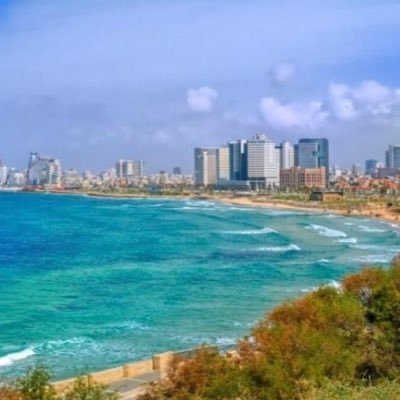 foxbayer's profile picture. 